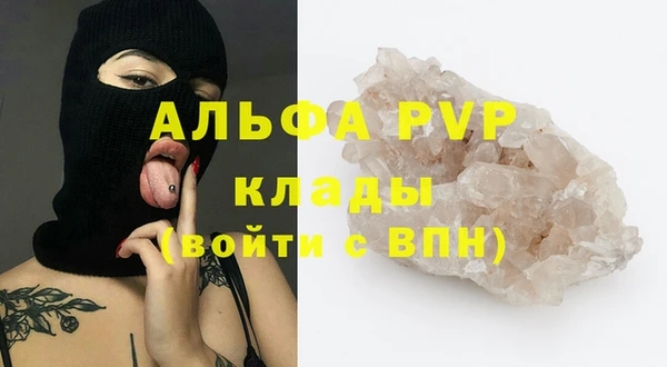 шишки Бородино