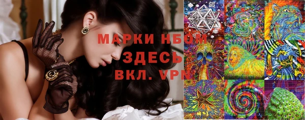 ешки Белокуриха