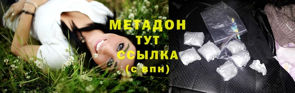 шишки Бородино